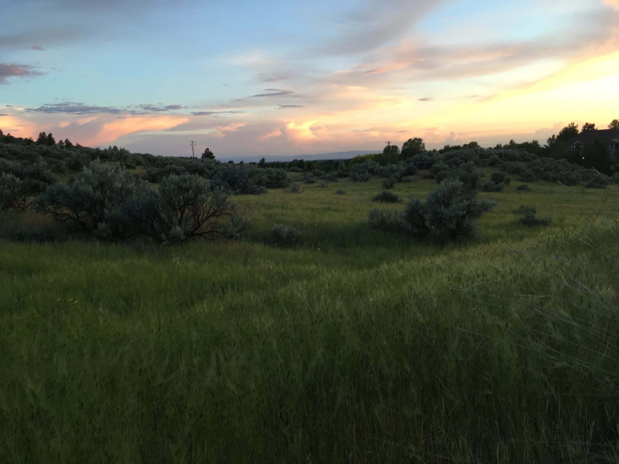 Tour an Eagle Idaho Home