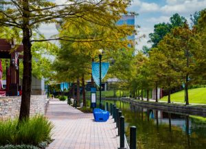 The Woodlands Community