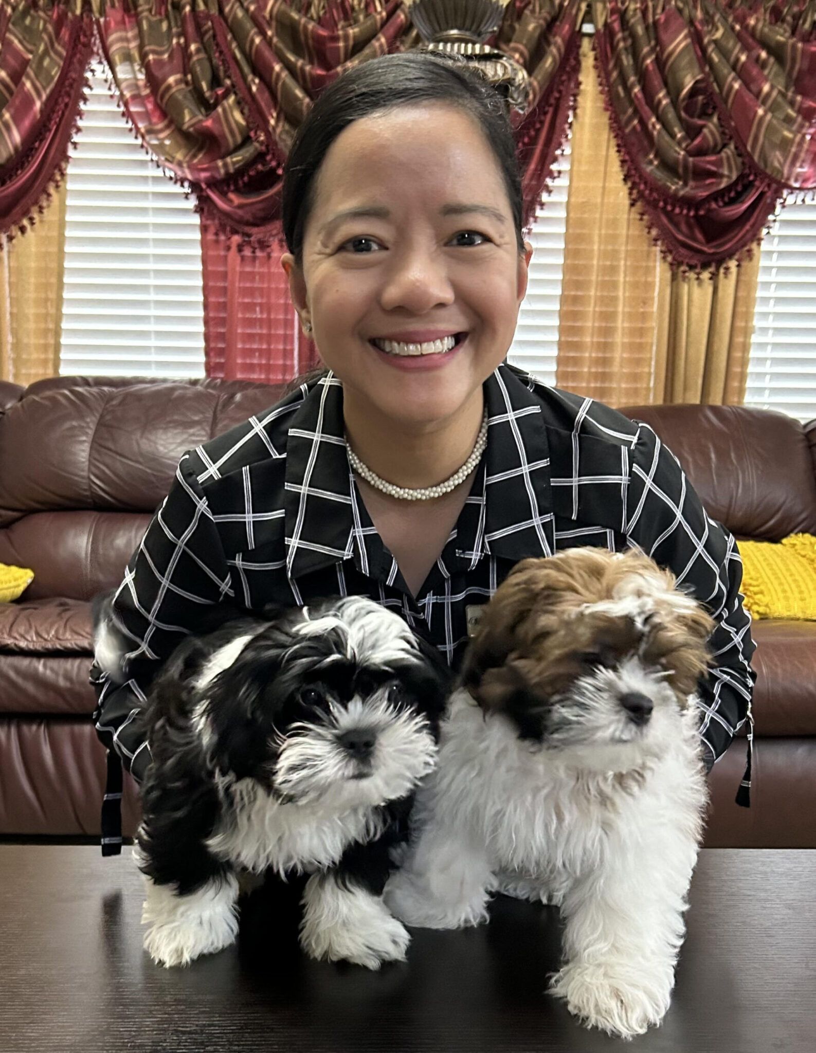 Moving Day Survival Kit for Dogs — Tips for a Smooth Transition