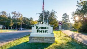 Roman Forest community in New Caney Texas