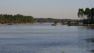 Indigo Lake Estates amenities in Magnolia, Texas