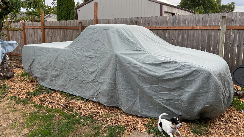 Covered pickup truck in backyard, dog.