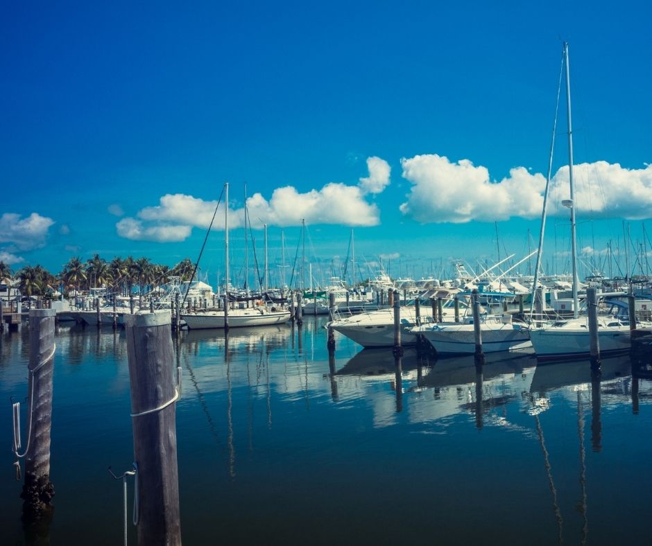 EVERYTHING To Know About Coconut Grove Miami Living in Coconut Grove