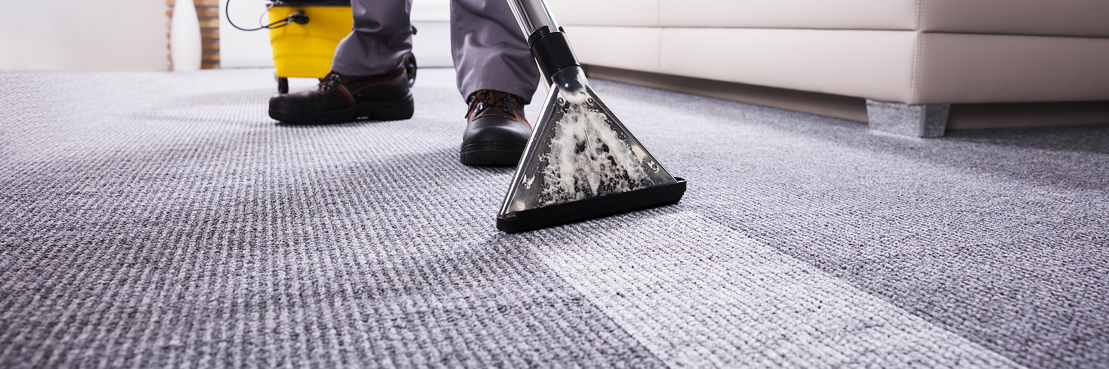 How to Clean Carpets the Right Way City Wide Facility Solutions Des