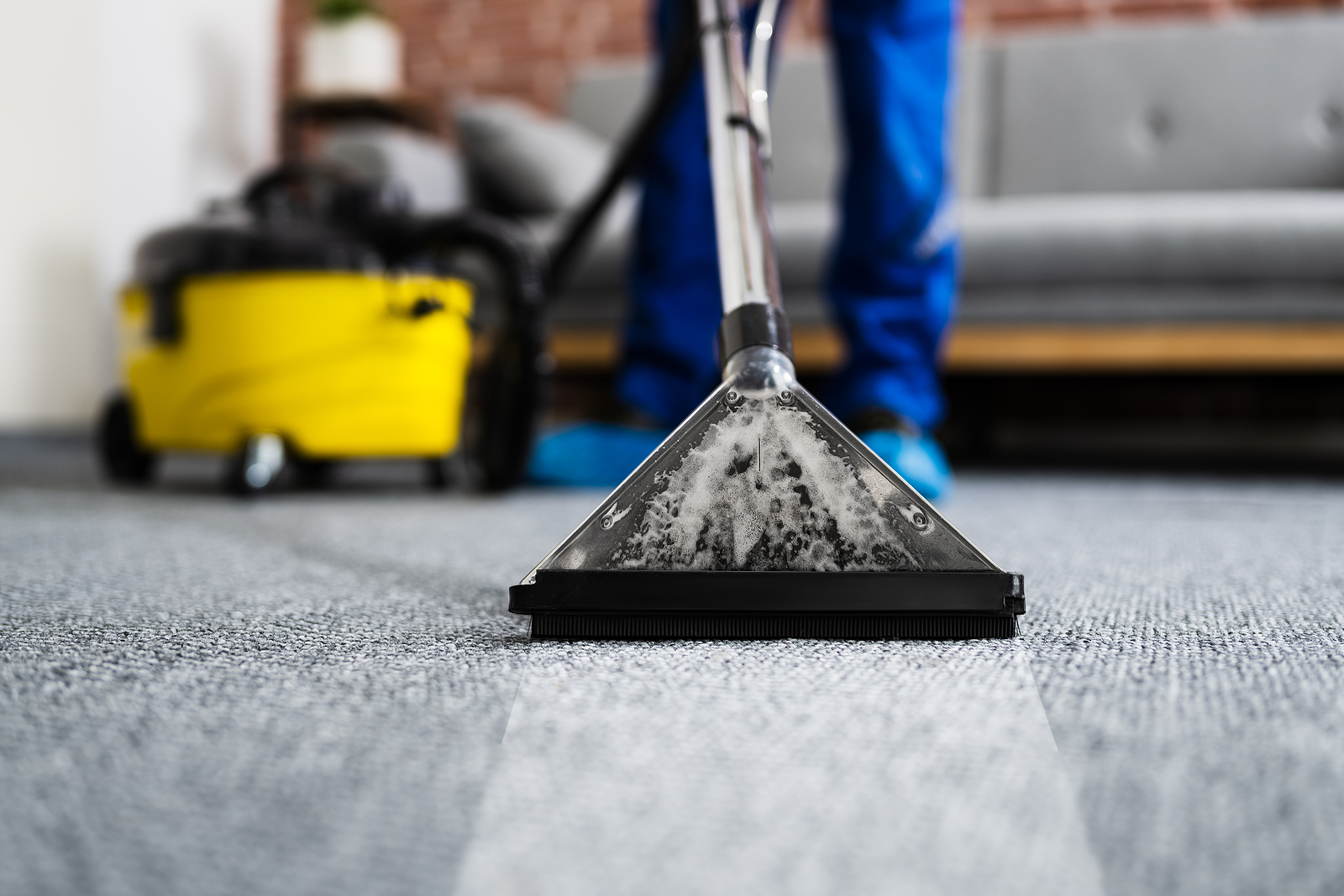 What are the Main Factors to Consider When Choosing a Carpet Cleaner