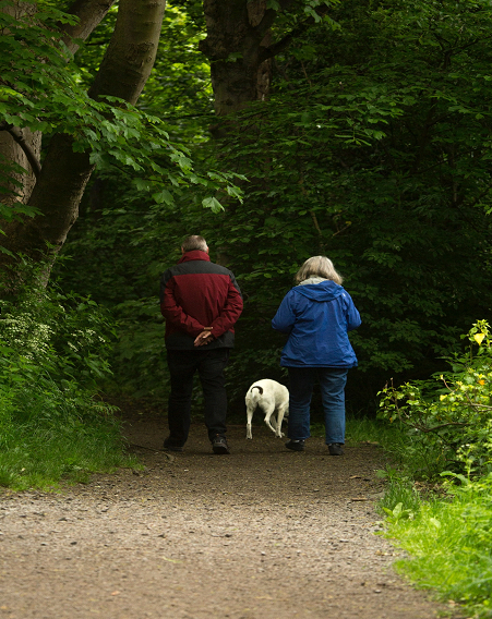 Assisting seniors with retirement planning allows them to have an enjoyable retirement.