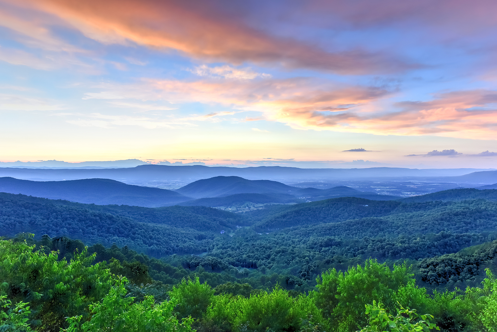 Home Staging Guide Front Royal Real Estate Agents