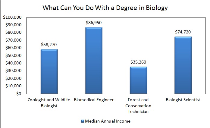 What Can You Do With a Degree in Biology