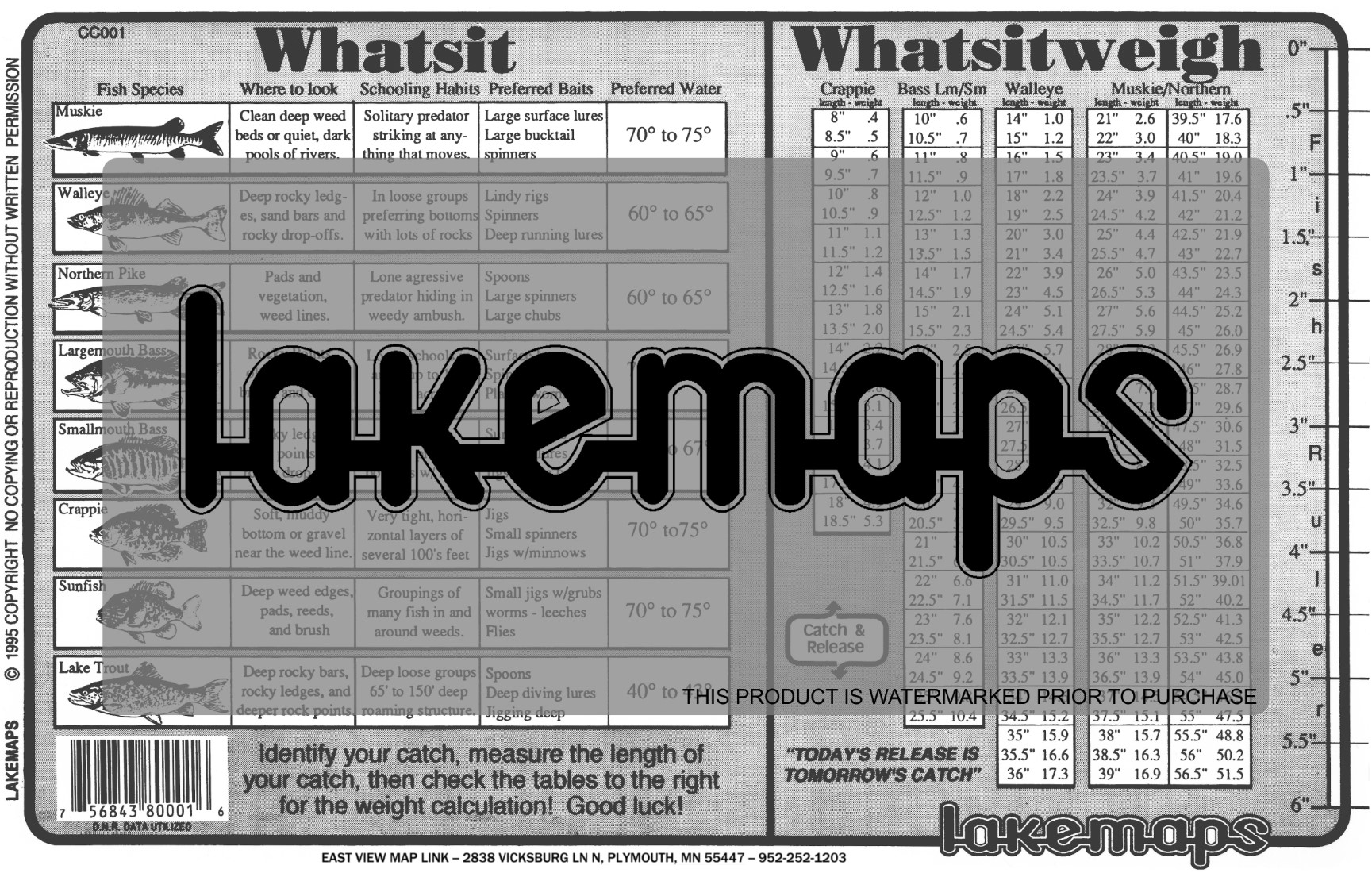 Fish Identification Card CC001