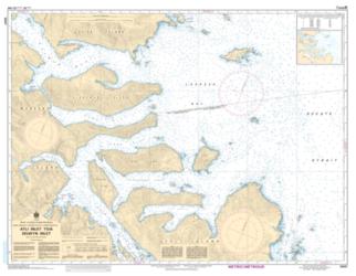 ATLI INLET TO/A SELWYN INLET (3807) by Canadian Hydrographic Service