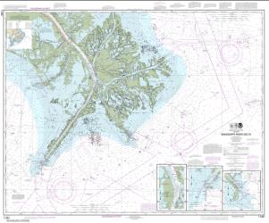 Mississippi River Delta; Southwest Pass; South Pass; Head of Passes (11361-77) by NOAA