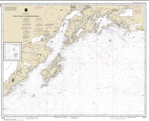Cape St. Elias to Shumagin Islands; Semidi Islands (16013-30) by NOAA