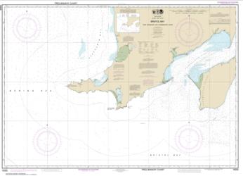 Bristol Bay-Cape Newenham and Hagemeister Strait (16305-11) by NOAA