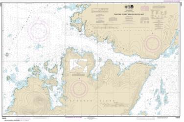 Shuyak Strait and Bluefox Bay (16605-10) by NOAA