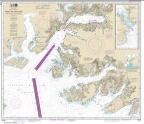Prince William Sound-Port Fidalgo and Valdez Arm; Tatitlek Narrows (16708-28) by NOAA