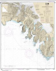 Cape Spencer to Icy Point (17301-9) by NOAA