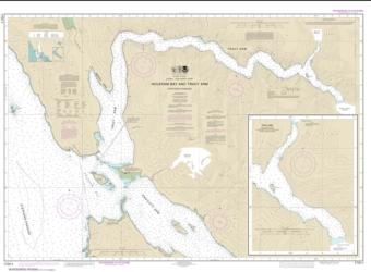 Holkham Bay And Tracy Arm - Stephens Passage (17311-2) by NOAA