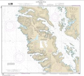 Central Dall Island and vicinity (17408-9) by NOAA