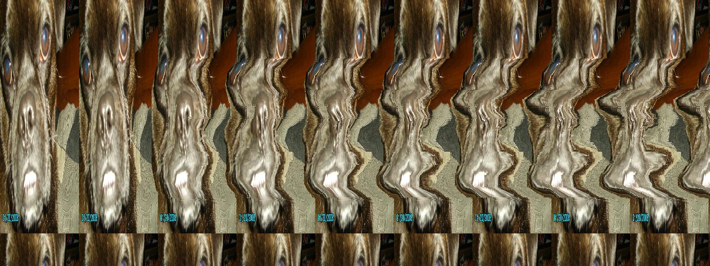 Easy Stereogram Builder