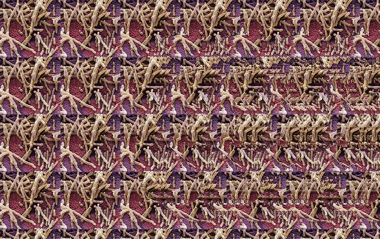 Easy Stereogram Builder