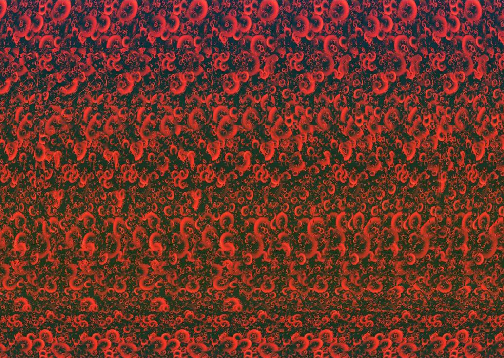 Easy Stereogram Builder