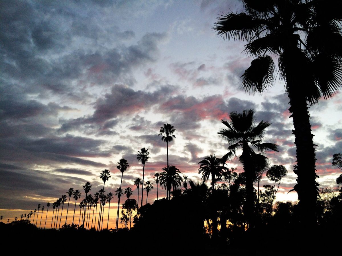 The Top 5 Dog Friendly Hikes in Los Angeles