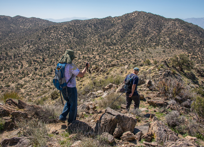 16 Incredible Desert Hikes In Joshua Tree