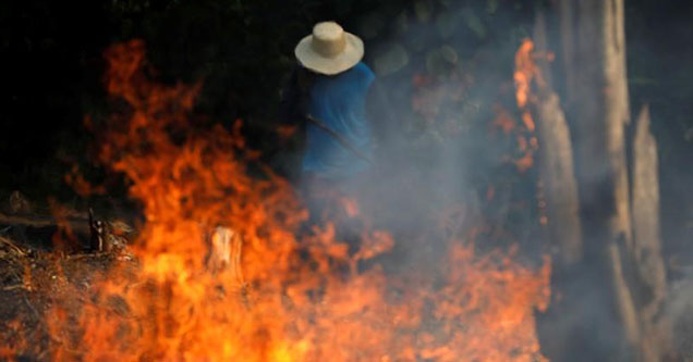 Cattle Ranchers likely the cause of the Amazon Forest Fires