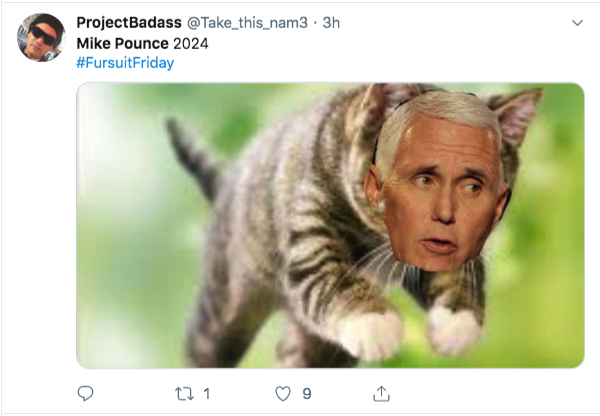 Mike Pounce memes that will curl up and sleep on your belly