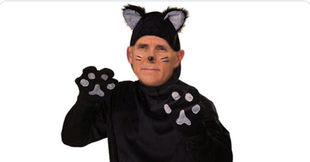 Mike Pounce Memes That Are Pretty Purrfect