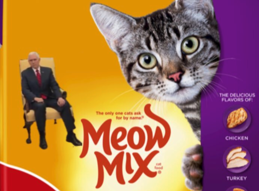 Mike Pounce memes that will curl up and sleep on your belly