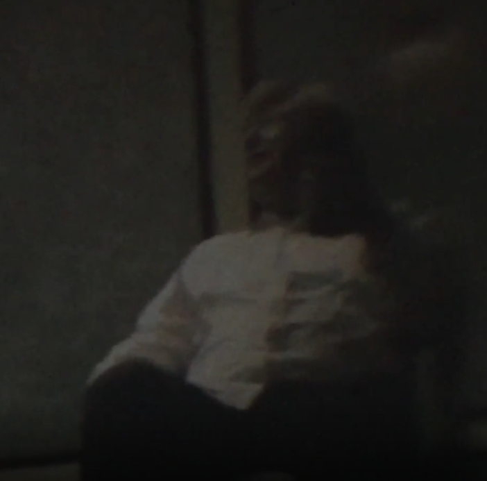 Screenshots of the supposed Donald Trump Pee Tape