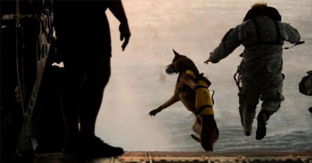 If you've been living under a rock allow me to be the first person to tell you that this past weekend US Special Forces carried out a raid killing ISIS leader Abu Bakr al-Baghdadi.