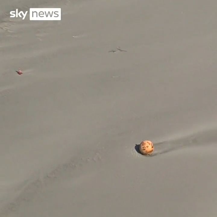 Mysterious Metal Ball (It's a Buoy) Washes Ashore on Japanese Beach