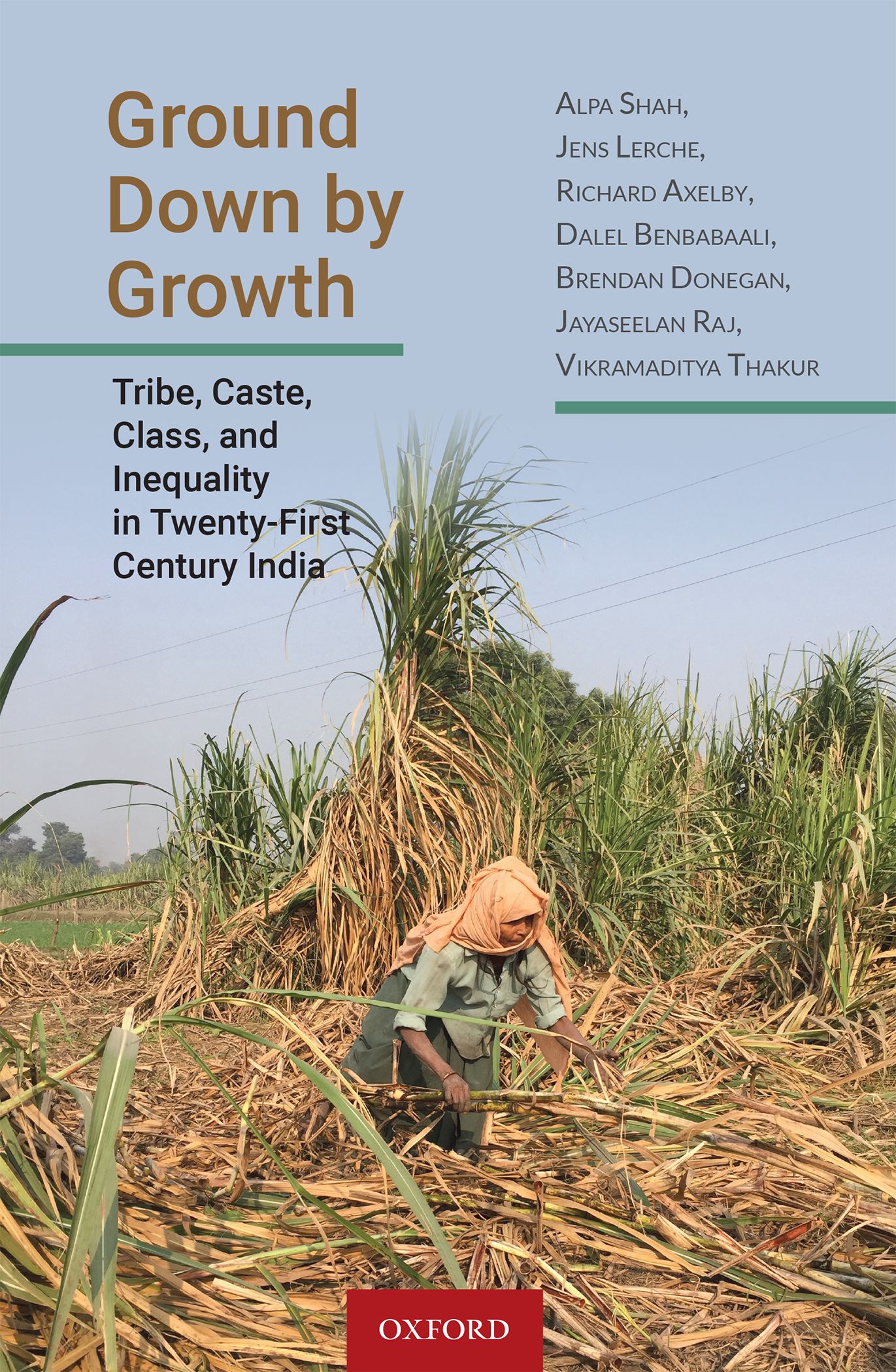 Ground Down by Growth - Tribe, Caste, Class, and Inequality in Twenty-First Century India