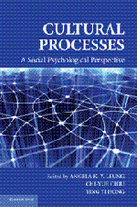 Cultural Processes - A Social Psychological Perspective