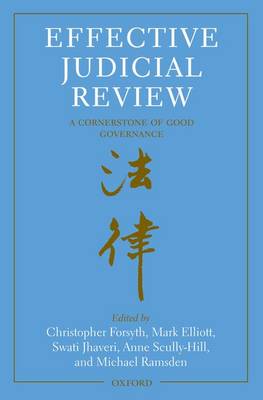 Effective Judicial Review: A Cornerstone of Good Governance