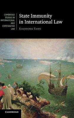 Cambridge Studies in International and Comparative Law: Series Number 89: State Immunity in International Law