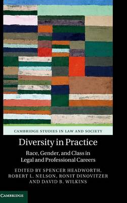 Cambridge Studies in Law and Society: Diversity in Practice: Race, Gender, and Class in Legal and Professional Careers