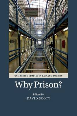 Cambridge Studies in Law and Society: Why Prison?