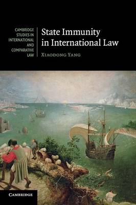 Cambridge Studies in International and Comparative Law: Series Number 89: State Immunity in International Law