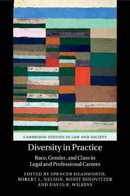 Cambridge Studies in Law and Society: Diversity in Practice: Race, Gender, and Class in Legal and Professional Careers