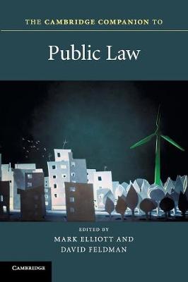 Cambridge Companions to Law: The Cambridge Companion to Public Law