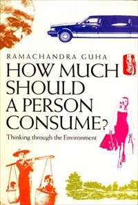 How Much Should a Person Consume: Thinking Through the Environment