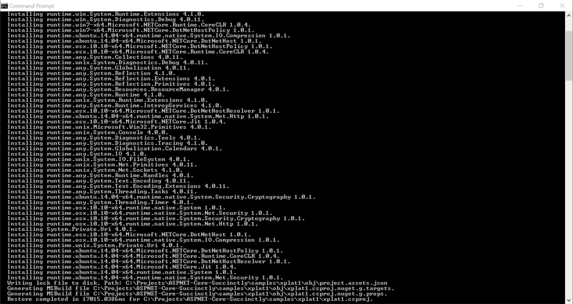 Command Prompt Output