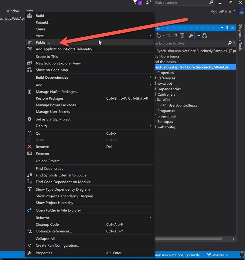 Publish Web Application Using Visual Studio