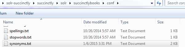 Location of synonyms.txt