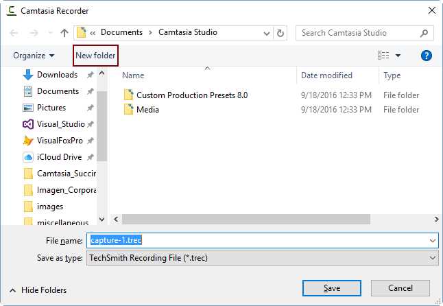 Camtasia file-saving window