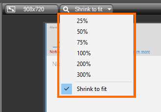 The Canvas Zoom size combo box and its options