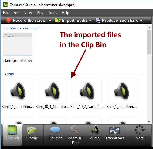 The Clip Bin after importing media files